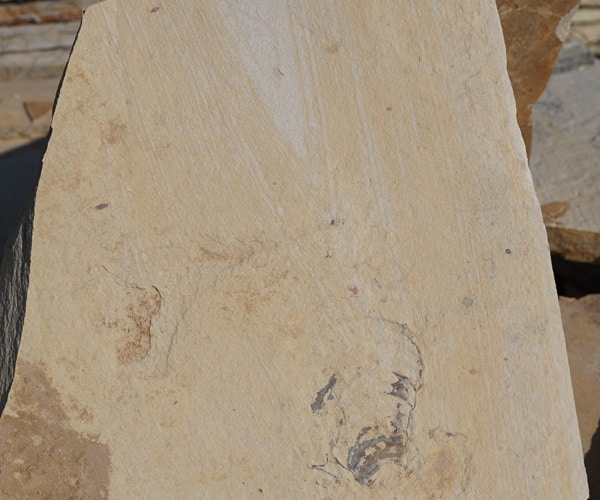 mexican-cream-flagstone-stand-up-select mexican-cream-flagstone-stand-up-select