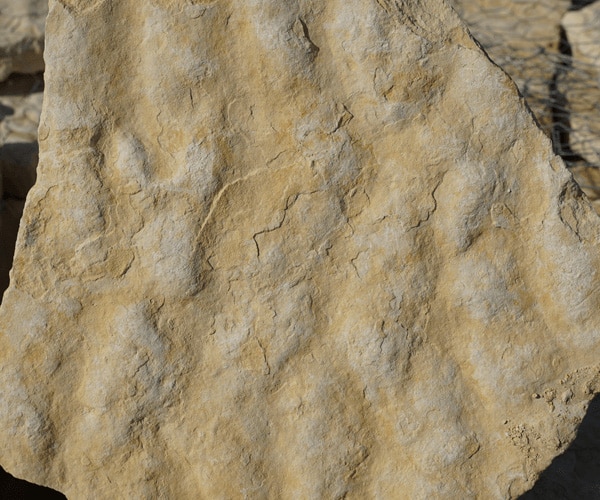 sisterdale-ripple-flagstone-stand-up-select sisterdale-ripple-flagstone-stand-up-select