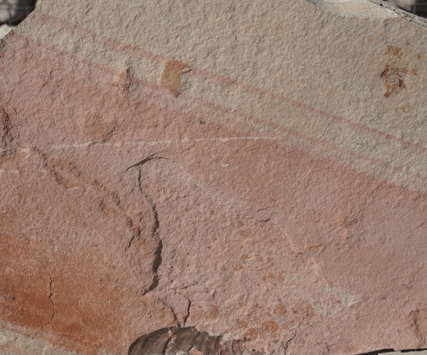 mexico-rosewood-flagstone-stand-up-select mexico-rosewood-flagstone-stand-up-select